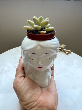 🌿 Mini Zen Garden Dolls – Handmade Succulent Planters 🌿